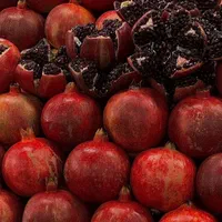 انبه کیوی زردآلو زرشک بلوبری به گلابی|خدمات باغبانی و درختکاری|زابل, |دیوار