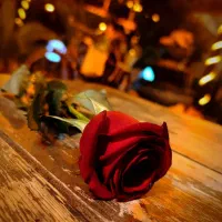 استخدام در کافه باغ در قسمت های سالن و کمک آشپز