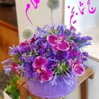 فروش سیم کارت با کد 6