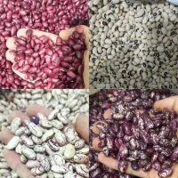 تعاونی زنگویی  عرضه کالابرگ برنج، حبوبات و روغن