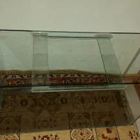 آکواریوم  ماهی|ماهی|مشهد, حسابی جنوبی (شهرک غرب)|دیوار
