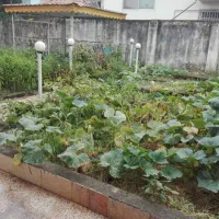 فروش اپارتمان ۷۴م.طبقه۴شهرک انصاری|فروش آپارتمان|رودسر, |دیوار