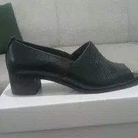 کفش نیم بوت مردانه وکفش زنانه|کیف، کفش، کمربند|شیراز, پانصد دستگاه ارتش|دیوار