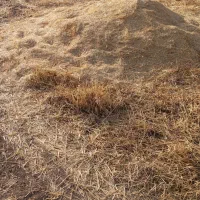 ۲۶ انبار کاه دیمی باکی ۵ تومن