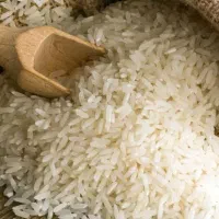 فروش برنج چمپا