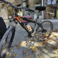 دوچرخه 26ویوا