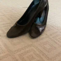 کفش مجلسی