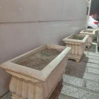 گلدان سیمانی|گل و گیاه طبیعی|کرج, چمران|دیوار