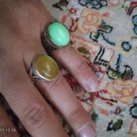 2عددانگشترشرف الشمس