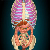 تدریس و رفع اشکال زیست کنکور و نهایی