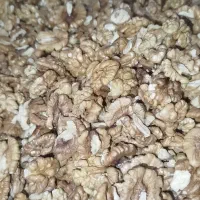 معز گردو|خوردنی و آشامیدنی|تهران, میرداماد|دیوار