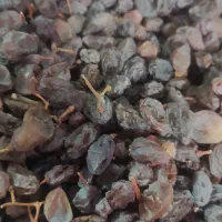 مویزاعلاگوشتی