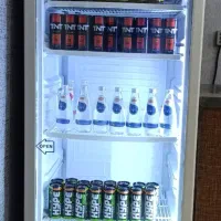 یخچال ایستاده بینا سرما