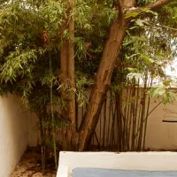 پانسیون مطالعاتی دخترانه|خدمات آموزشی|گرگان, |دیوار