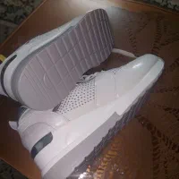 کفش زنانه|کیف، کفش، کمربند|مشهد, گاز|دیوار