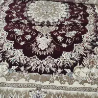 قالی ۱۲ متری تکی نو|فرش|اهواز, کمپلو جنوبی|دیوار