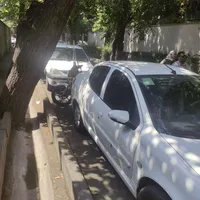 رانا پلاس، مدل ۱۳۹۹|خودرو سواری و وانت|تهران, شهر‌زیبا|دیوار