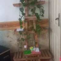 استندچوبی گل