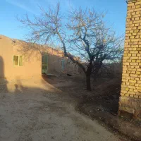 خانه ویلایی|فروش خانه و ویلا|آبکوه, |دیوار