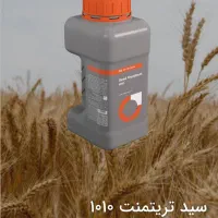 بذر مال گندم