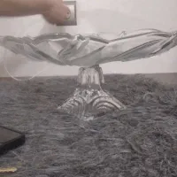 جا میوه ایی|ظروف سرو و پذیرایی|گرگان, |دیوار