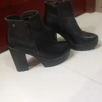 کیفو کفش نو|کیف، کفش، کمربند|کیش, |دیوار