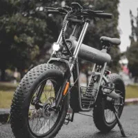 دوچرخه برقی آفرود برند crony