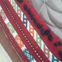 پشتیجلویدر