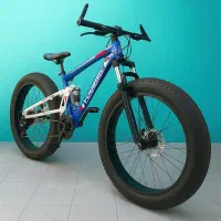 دوچرخه ساحلی