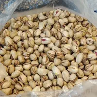 پسته اکبری و خرما زرد عسلی|خوردنی و آشامیدنی|تهران, مدائن|دیوار