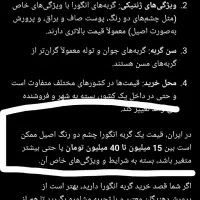 گربه نژاد انگورا|گربه|پرند, فاز ۵|دیوار