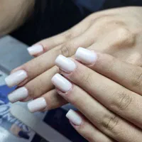 مدل کاشت و ترمیم رایگان