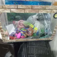 اکواریوم سالم و بزرگ