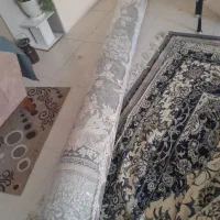 فرش ۱۲ متری نو|فرش|شیراز, نصر|دیوار