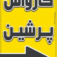 نیروی کار کارواش