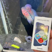 Samsung|موبایل|تهران, شیخ هادی|دیوار