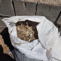 کود مرغ|گل و گیاه طبیعی|رفسنجان, |دیوار