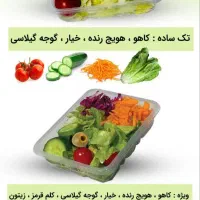 سالاد تک‌نفره مجلسی  اقتصادی