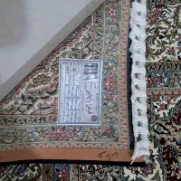 یک تخته فرش درحد صفر|فرش|مهاباد (آذربایجان غربی), |دیوار