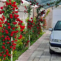 باغ ویلا مسکونی|فروش خانه و ویلا|مشهد, ابرغن|دیوار