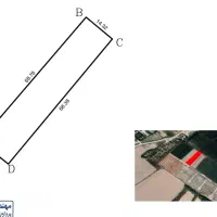 فروش باغ شهری ۱۰۰۰ متری در روستای جلیان|فروش دفتر صنعتی، کشاورزی، تجاری|مرودشت, تخت جمشید|دیوار