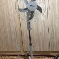 پنکه رگال