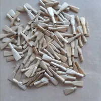 کرنا و سورنا|سازهای بادی|فیروزآباد (فارس), |دیوار