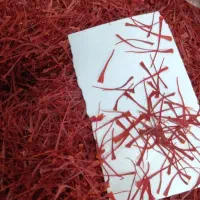 خشک کردن زعفران رویال|خوردنی و آشامیدنی|مشهد, ایثارگران|دیوار