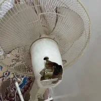 پنکه|پنکه و تصفیهکنندهٔ هوا|قم, چهار مردان|دیوار