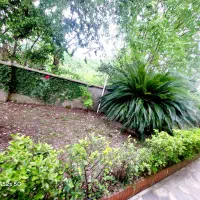 خانم-دشتی-90متردنج-و-مشجربالکن-بزرگ-اطراف-همه-باغ