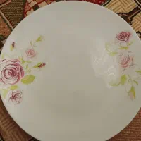 سرویس‌۱۲ نفره‌کارتنم‌داره