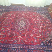 فرش ۱۲ متری|فرش|زنجان, |دیوار