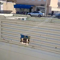 باربند زخیم سنگین وانت پیکان مجهز به جای بوکسر