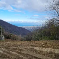 مشارکت و تهاتر ۳۰۰۰ متری در رامسر ( اربکله)|مشارکت در ساخت املاک|رامسر, |دیوار